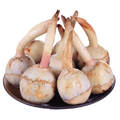 煲汤粉糯丨云南新鲜茨菇9斤