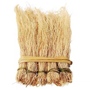 广东韶关特产养肝草龙须草野生护肝丝线根新鲜干货煲汤料农家自晒