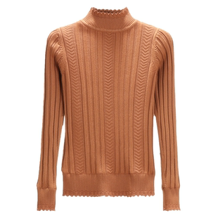 大码加绒加厚短款套头毛衣女胖mm200斤冬季保暖宽松半高领打底衫