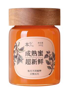 时之蜜新鲜枣花蜂蜜玻璃瓶500g