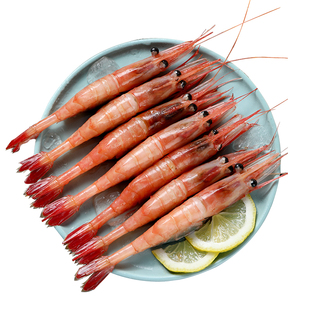 北极甜虾刺身特大号新鲜带籽冰山蓝盒甜虾即食鲜活速冻冰虾日料