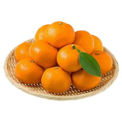 皮薄汁甜临海涌泉蜜桔10斤包邮