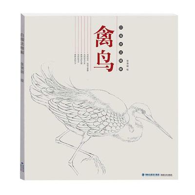 白描技法精解禽鸟工笔画白描勾