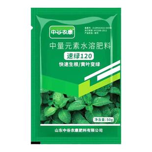 速绿120叶绿素正品家庭种菜园艺壮苗果树蔬菜玉米黄叶变绿叶面肥