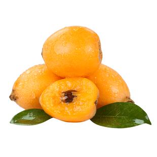 顺丰包邮四川攀枝花米易枇杷新鲜早钟枇杷大五星琵琶应季孕妇水果