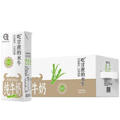 认养吃甘蔗的水牛奶