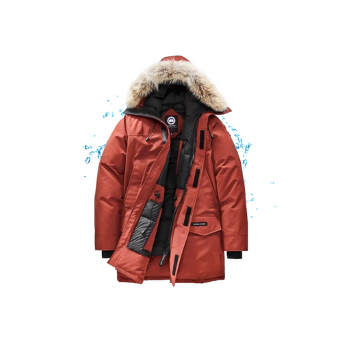 服装养护