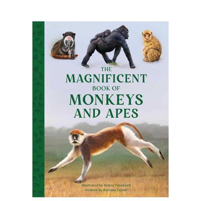 【预售】猿猴大书The Magnificent Book of Monkeys and Apes儿童绘本 原版图书进口外版书籍Taylor, Barbara ; Treadwell, Simon