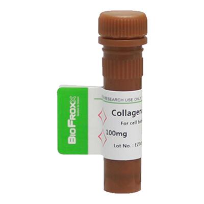 胶原酶II型Collagenase II 2-8度 2275MG100 2275GR001 Biofroxx