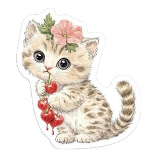 神秘粉色复古美学ins风贴纸高颜值高级感充电宝吉他ipad装饰贴画