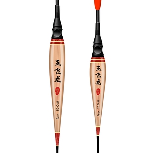 大物夜光漂无铅自立漂拖钓醒目高亮发光芦苇漂巨物跑铅漂日夜两用