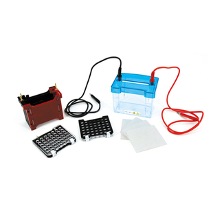 北京六一生物DYCZ-40D型迷你转印电泳仪小号导线上盖下槽转移槽