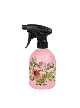 Berry&Bird喷壶小号多肉专用园艺工具洒水壶气压式喷雾瓶家用消毒