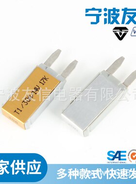 E7过载保护器Mini插片式保险断路器手动复位5-30A片电流保护器