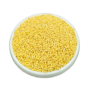 米香油厚黄小米新米农家自种食用粘糯米粗粮杂粮黄金色小米粥新货