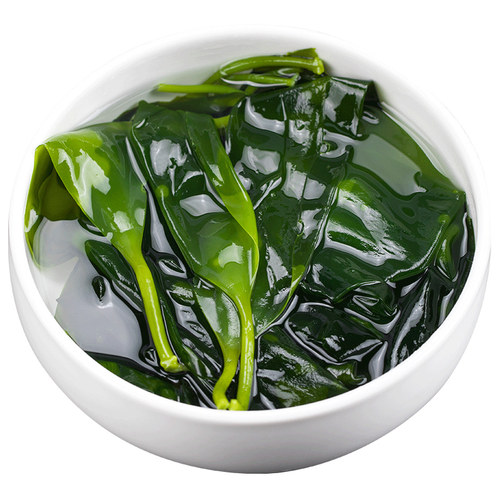 金海林海带苗嫩商用霞浦新鲜盐渍小海带芽嫩苗非干货火锅专用食材