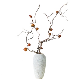 干石榴枯树枝装饰客厅落地干花真花干枝插花风干花束文艺家居摆设