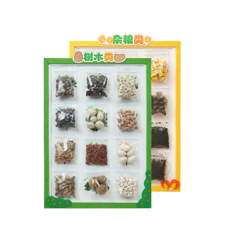 菜乡宝贝种子博物馆儿童科普教具