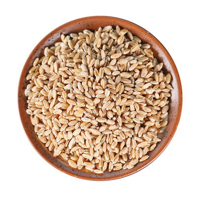 正品特级浮小麦500g甘草红枣止汗