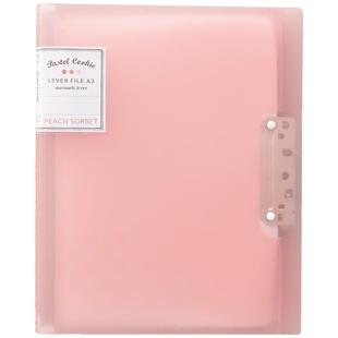 日本KOKUYO国誉淡彩曲奇A3试卷整理神器高中生大容量试卷夹文具收纳袋文件夹学生用多功能收纳卷子分类夹初中