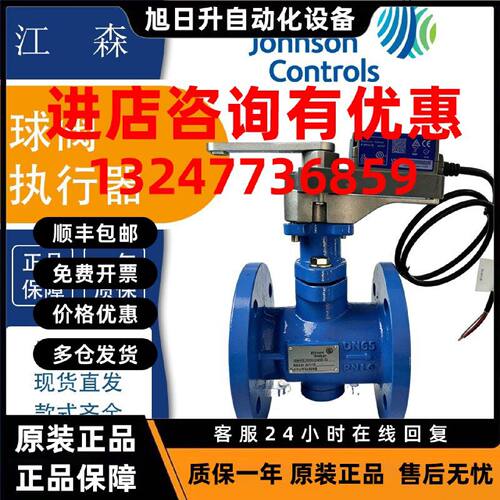 议价江森VG1205AN/BN VG1205CP VG1205ES FT 电动二通螺纹球阀 VA