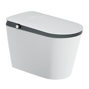 帝王洁具TA068智能马桶家用坐便器易洁即热翻盖智能马桶一体机
