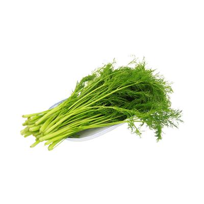 小茴香叶饺子馅料新鲜欧阳根