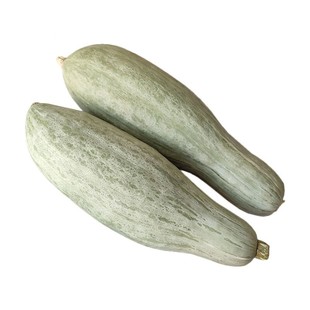 正宗新疆沙漠贵族老南瓜宝宝辅食孕妇板栗南瓜粉糯甜金丝南瓜丑瓜