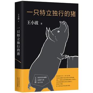 一只特立独行的猪 现当代散文随笔王小波杂文精选集新华书店
