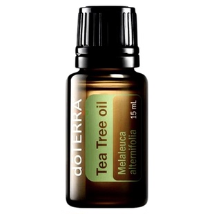 多特瑞茶树单方精油15ml官网doterra正品按摩滋养涂抹香氛海外版