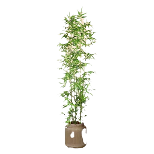 仿真竹子室内装饰假竹子隔断屏风挡墙造景室外装饰竹盆栽加密绿植