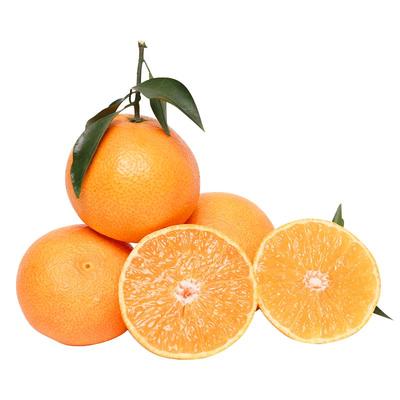 【顺丰包邮高回购】高品质果冻橙