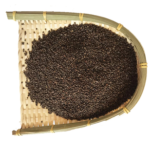 甘肃黄土高原紫苏籽苏子500克装时光荏苒荏籽荏子老品种新货包邮