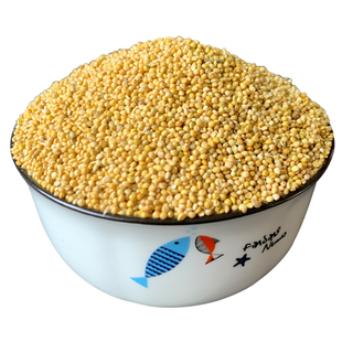 2025年鹦鹉饲料鸟粮黄谷子带壳小米虎皮牡丹玄凤专用粮食玉鸟鸟食