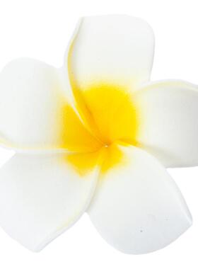 美容院托盘专用花鸡蛋花装饰花