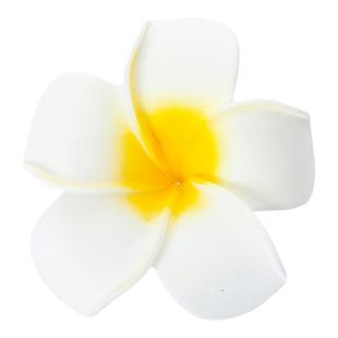 养生馆会所美容院托盘专用花鸡蛋花美容床装饰花spa水疗水池会所