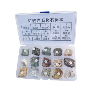 儿童科普礼物地质岩石矿物矿石标本套装地质小学生科学实验教具