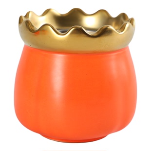 鎏金火龙罐广东省中医院专用刘伟莲花口刮痧一体艾灸罐面部桃花灸