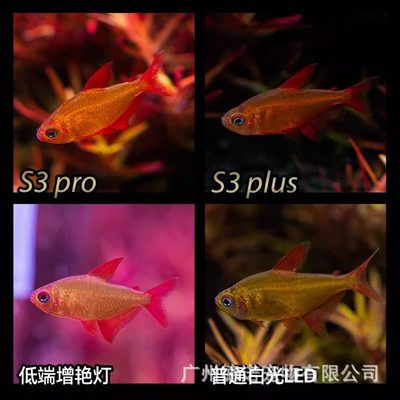 尼奥升级版S3pro+新款透镜版全艳高亮度植物夹水草RGB灯灯增光谱