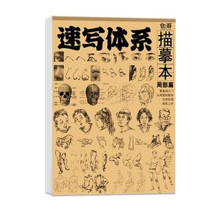速写体系描摹本临摹范本入门教材局部动态组合人体零基础教程绘画美术生专用自学线稿练习画册高考浅印作业本