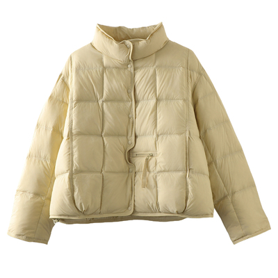 欧洲站轻薄短款羽绒服女2025冬季新款时尚立领显瘦白鸭绒保暖外套