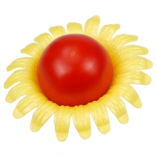 鲜元莲花托通用花瓣托盘苹果橙子网套水果店水果陈列展示保护底托