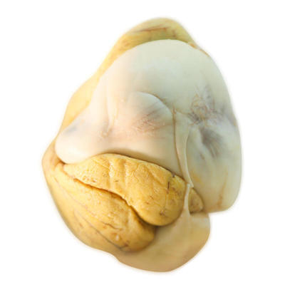 20枚新鲜13天活珠子鸡胚蛋即食熟食凤凰蛋毛蛋钢化蛋土鸡蛋旺蛋