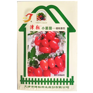 蔬菜种子大全四季可播种菠菜香菜韭菜菠菜辣椒种籽阳台园艺菜种