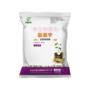 根线宁淡紫拟青霉降低作物根结线虫根茎线孢囊线生物菌