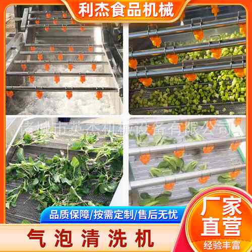 大型全自动叶菜类洗菜生产线果蔬气泡清洗机多功能涡流鼓泡机