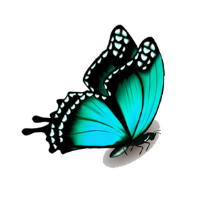 汽车蝴蝶羽毛小贴画车身保险杠划痕遮挡遮盖贴纸电动车防水车贴纸