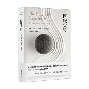 臣服实验 迈克A辛格著不羁的灵魂 励志