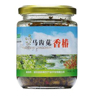 金真安马齿苋香椿酱下饭菜香椿芽香椿酱陕西特产