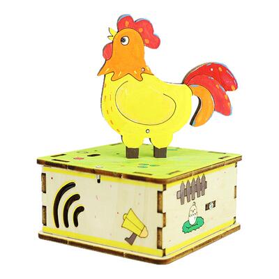 探梦物理类学生手工制作